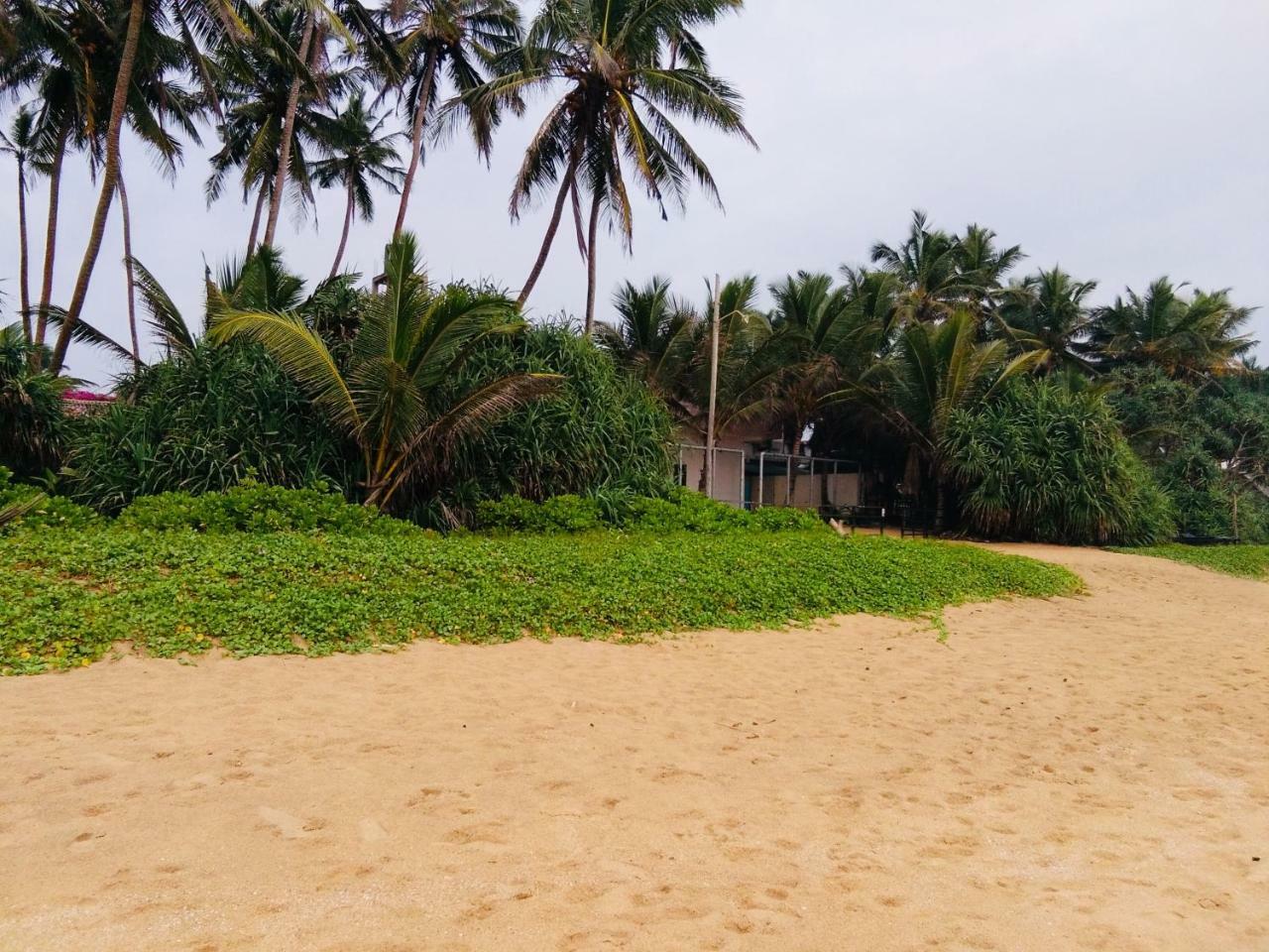 Hikkaduwa Backyard Beach Homestay Galle Exterior foto