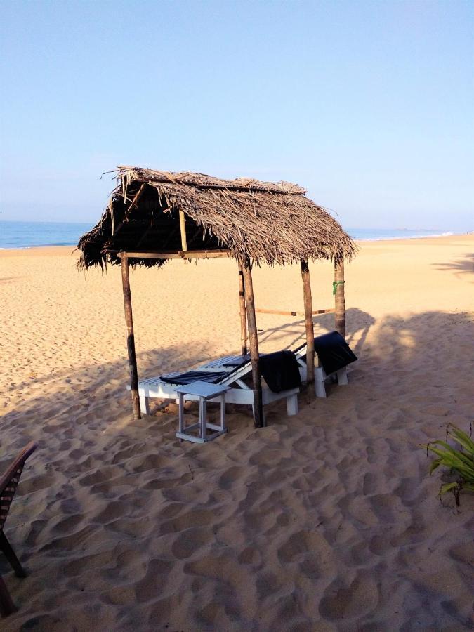 Hikkaduwa Backyard Beach Homestay Galle Exterior foto